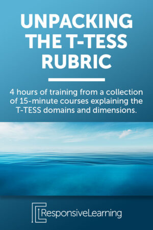Unpacking the T-TESS Rubric