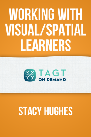 Working With Visual-Spatial Learners